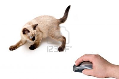 How to get your mouse cursor position (+Bonus: set position also!!)